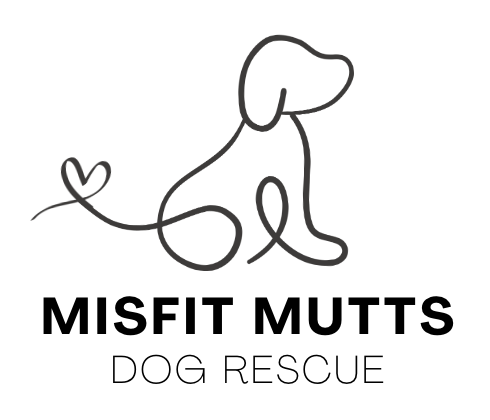 Misfit Mutts